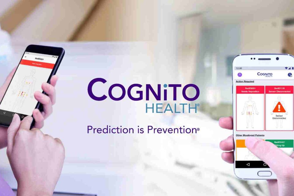 cognito rd.com