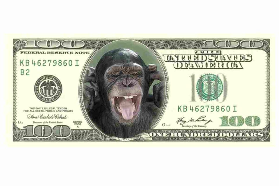 Fitzmonkey Money Lender St. Louis