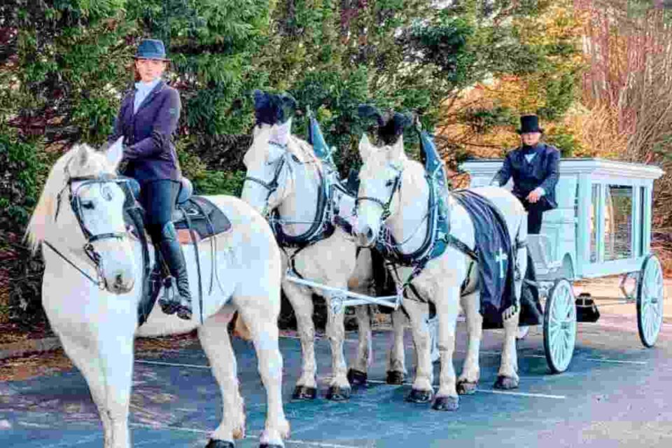 White Horses with Horse to Carry Casket in Albany NY