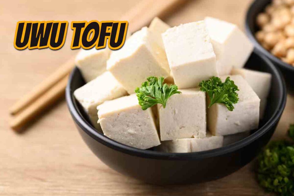 Asian Step Sisters Take Study Break – Uwu Tofu